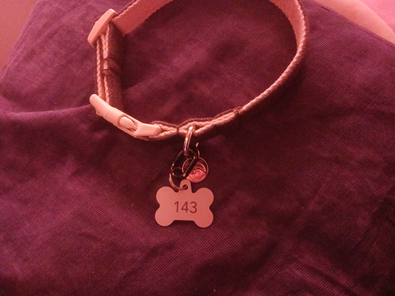 collar with a tag that says 143